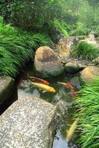 Koi Pond at Japanese Garden Journal: 150 Page Lined Notebook/Diary