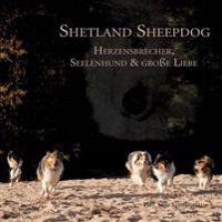 Shetland Sheepdog - Herzensbrecher, Seelenhund und große Liebe