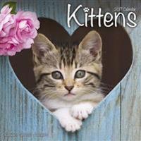 Kittens Calendar 2017