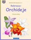 Brockhausen Omalovánky Vol. 1 - Rekreace: Orchideje: Omalovánky