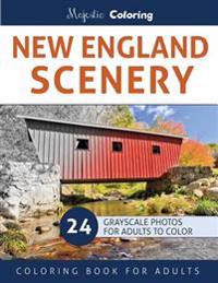 New England Scenery: Grayscale Photo Coloring for Adults