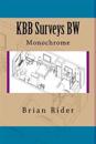 Kbb Surveys Bw: Monochrome