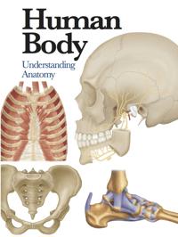 Human Body: Understanding Anatomy