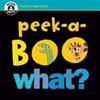 Begin Smart (TM) Peek-a-Boo What?