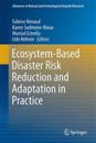 Ecosystem-Based Disaster Risk Reduction and Adaptation in Practice