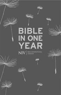 NIV Bible in One Year