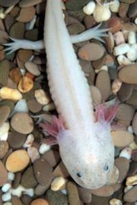 Axolotl - Mexican Salamander (Ambystoma Mexicanum) Journal: 150 Page Lined Notebook/Diary