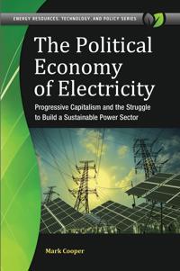 The Political Economy of Electricity