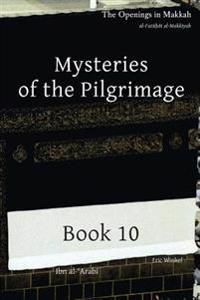 Mysteries of the Pilgrimage: Book 10