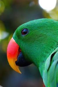 Green Eclectus Parrot, for the Love of Birds: Blank 150 Page Lined Journal for Your Thoughts, Ideas, and Inspiration
