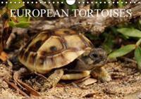 European Tortoises / UK-Version 2017