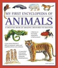 My First Encylopedia of Animals: A First Encyclopedia with Supersize Pictures