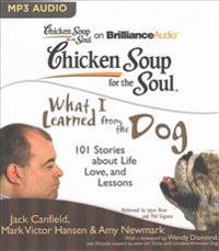 Chicken Soup for the Soul: What I Learned from the Dog: 101 Stories about Life, Love, and Lessons