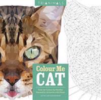 Trianimals: Colour Me Cat