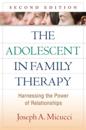 The Adolescent in Family Therapy, Second Edition
