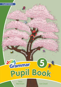 Grammar 5 Pupil Book (n print letters)