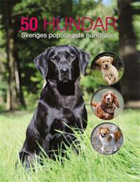 50 hundar: Sveriges populäraste hundraser