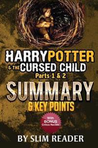 Harry Potter and the Cursed Child, Parts 1 & 2: Summary & Key Points with Bonus Critics Review