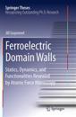 Ferroelectric Domain Walls
