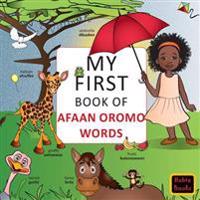 My First Book of Afaan Oromo Words: English-Afaan Oromo Wordbook