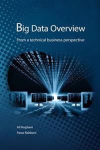 Big Data Overview: From a Technical Business Perspective
