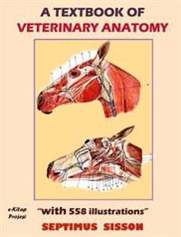 A Textbook of Veterinary Anatomy: [With 588 Illustrations]