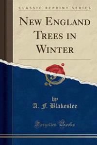 New England Trees in Winter (Classic Reprint)