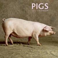 Pigs 2017 Calendar
