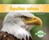 Águilas Calvas (Bald Eagles) (Spanish Version)