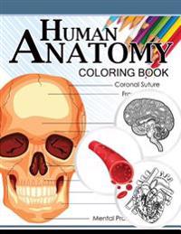 Human Anatomy Coloring Book: Anatomy & Physiology Coloring Book 3rd Edtion