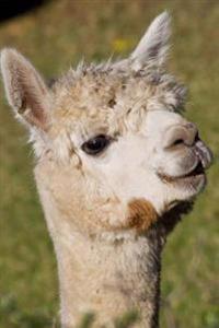 Alpaca Headshot Animal Journal: 150 Page Lined Notebook/Diary