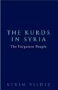 The Kurds in Syria