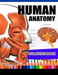 Human Anatomy Coloring Book: Anatomy & Physiology Coloring Book (Complete Workbook)
