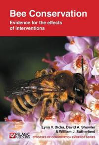 Bee Conservation