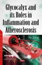 Glycocalyxits Roles in InflammationAtherosclerosis