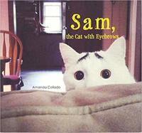 Sam, the Cat With Eyebrows