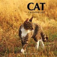 Cat Calendar 2017: 16 Month Calendar