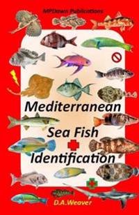 Mediterranean Sea Fish Identification