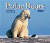 Polar Bears 2018 Calendar