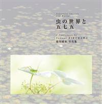 Japanese Insects and Haiku
