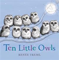 Ten Little Owls