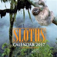 Sloths Calendar 2017: 16 Month Calendar