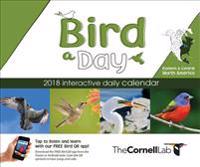 Bird-a-day 2018 Daily Calendar