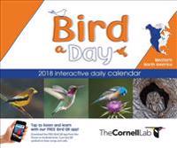 Bird-a-day 2018 Daily Calendar