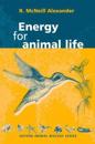 Energy for Animal Life