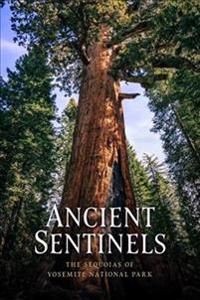 Ancient Sentinels