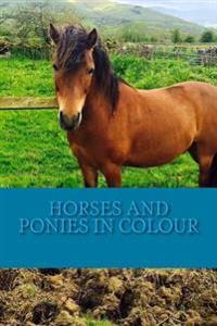 Horses and Ponies in Colour: Full Colour Photographs of Various Breeds of Horse and Pony