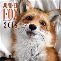 Juniper Fox 2018 Calendar