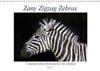 Zany Zigzag Zebras 2017