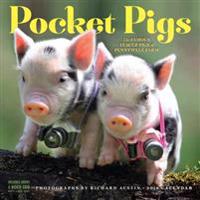 Pocket Pigs 2018 Calendar